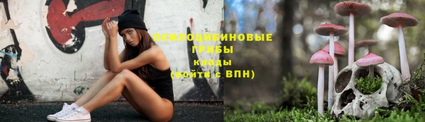 амф Коряжма