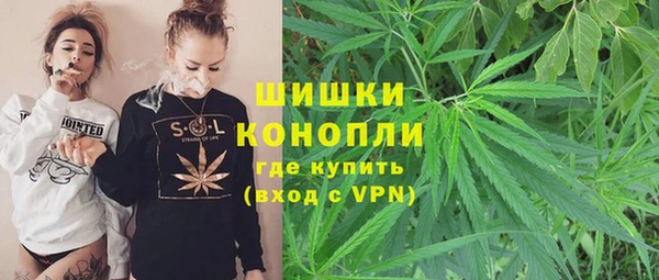 амф Коряжма
