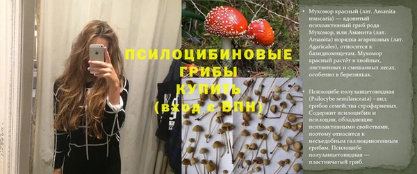 ECSTASY Корсаков