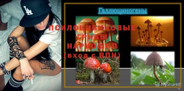 амф Коряжма